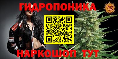 синтетический гашиш Гатчина